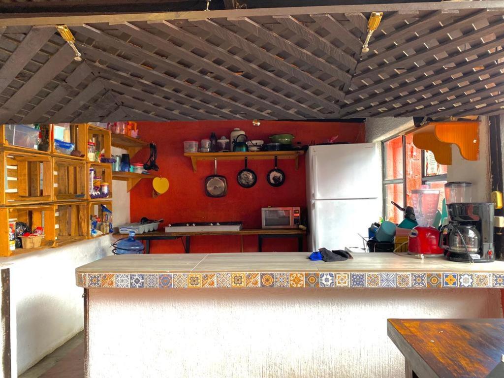 Berlin61 Hotel San Cristobal de las Casas Ngoại thất bức ảnh