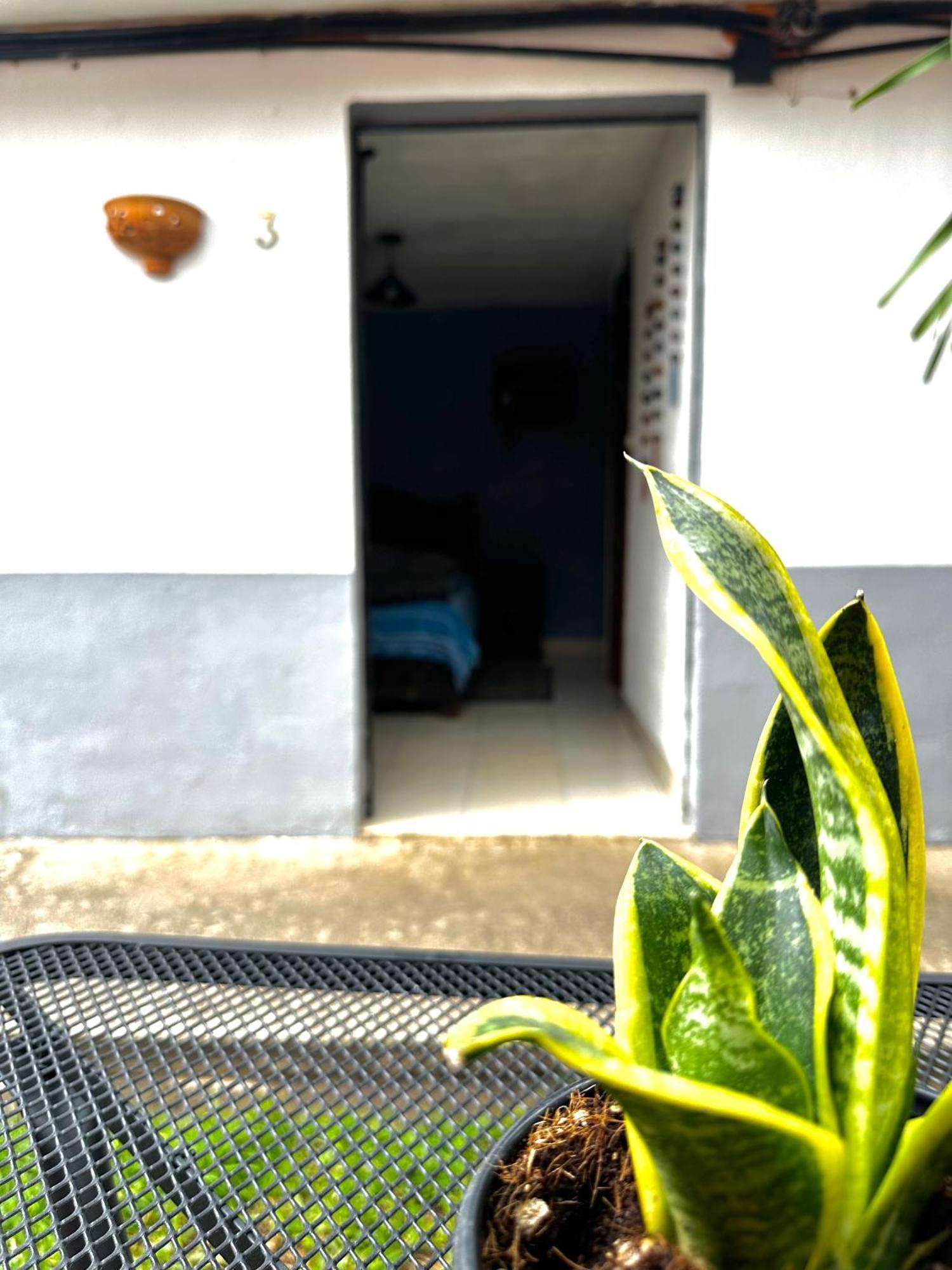 Berlin61 Hotel San Cristobal de las Casas Ngoại thất bức ảnh